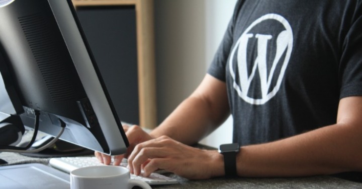 Bloger traži šta je wordpress